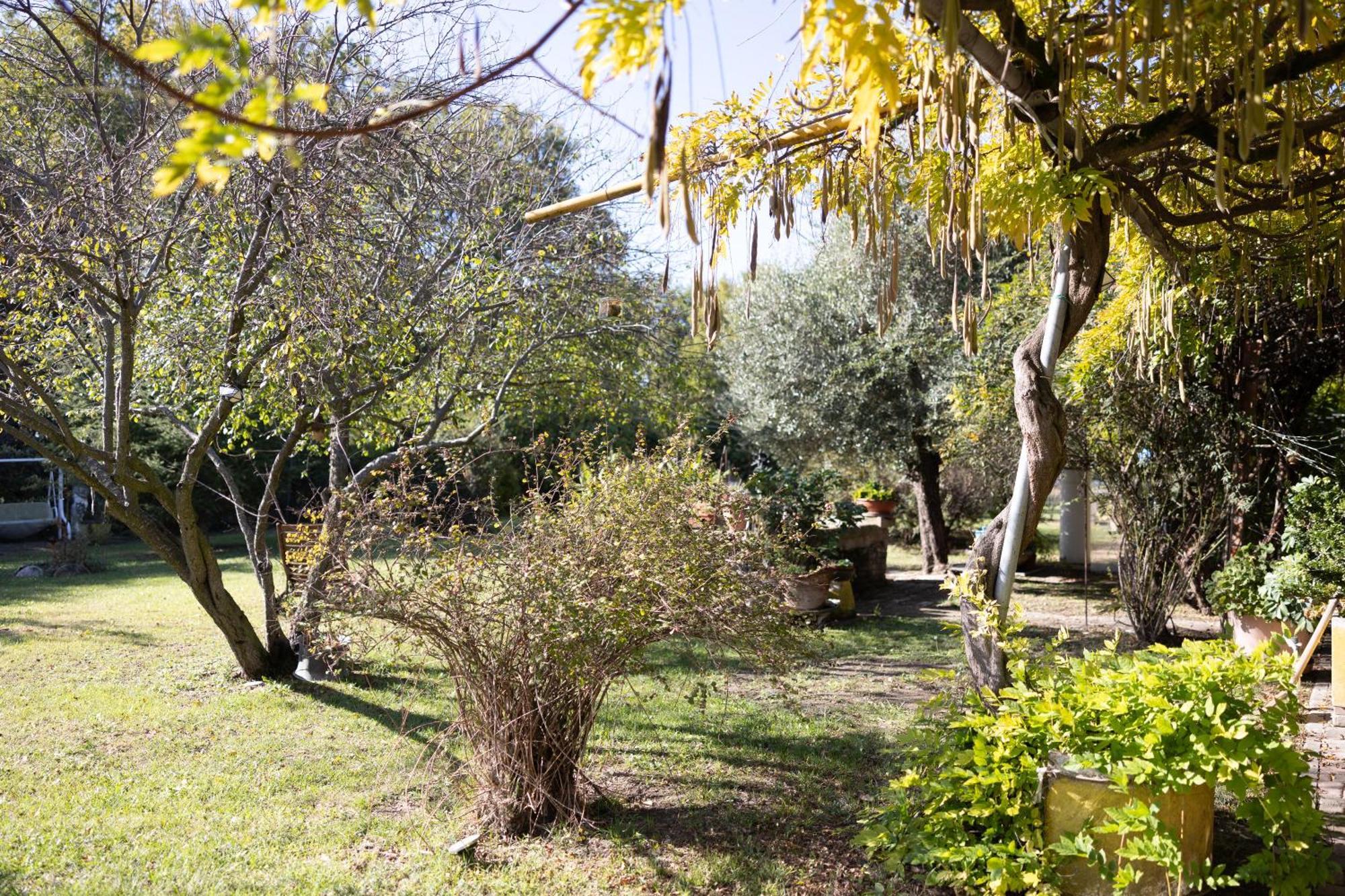 Locanda Acetaia Malagoli Daniele Castelfranco Emilia Ngoại thất bức ảnh