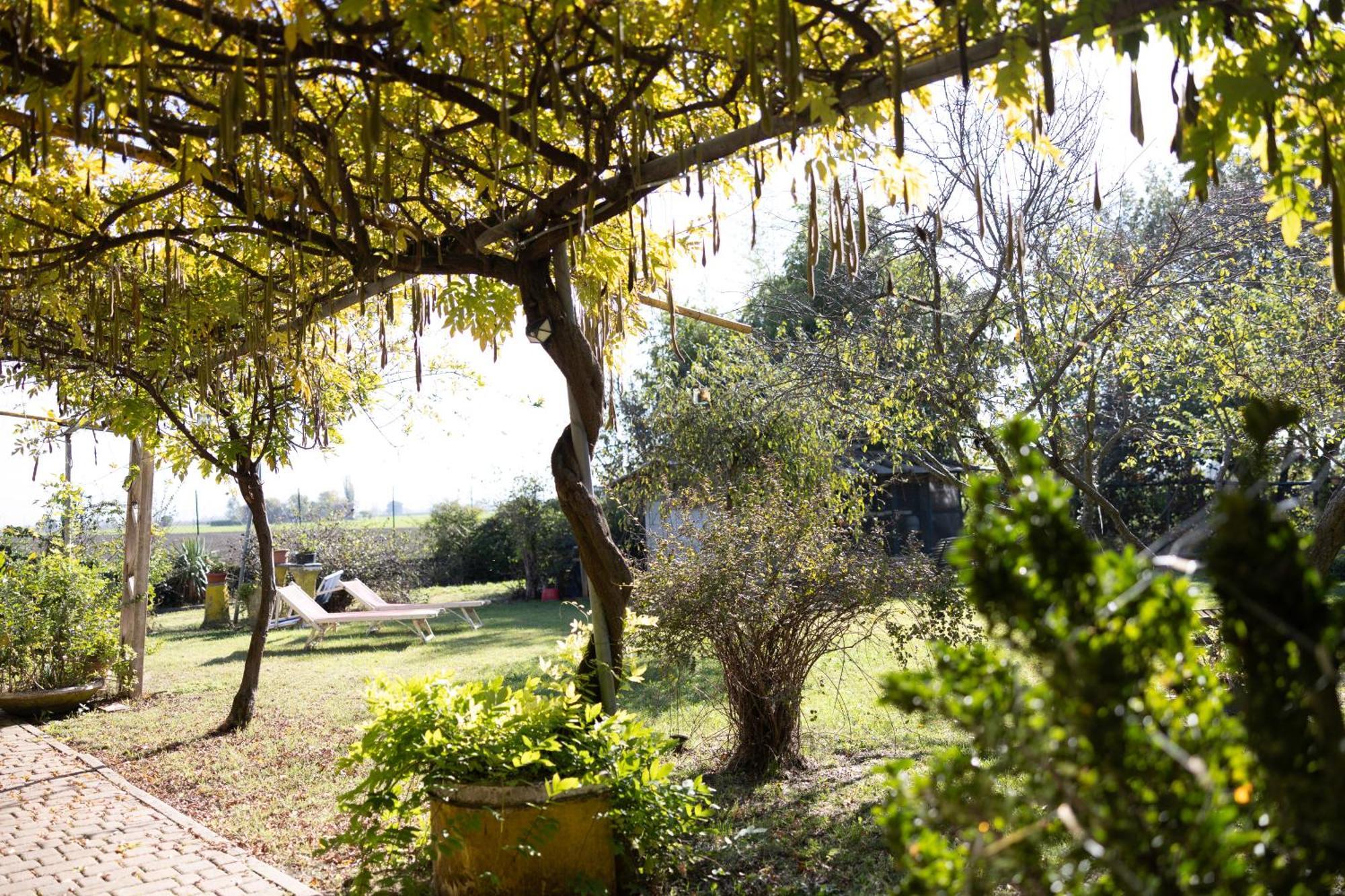 Locanda Acetaia Malagoli Daniele Castelfranco Emilia Ngoại thất bức ảnh
